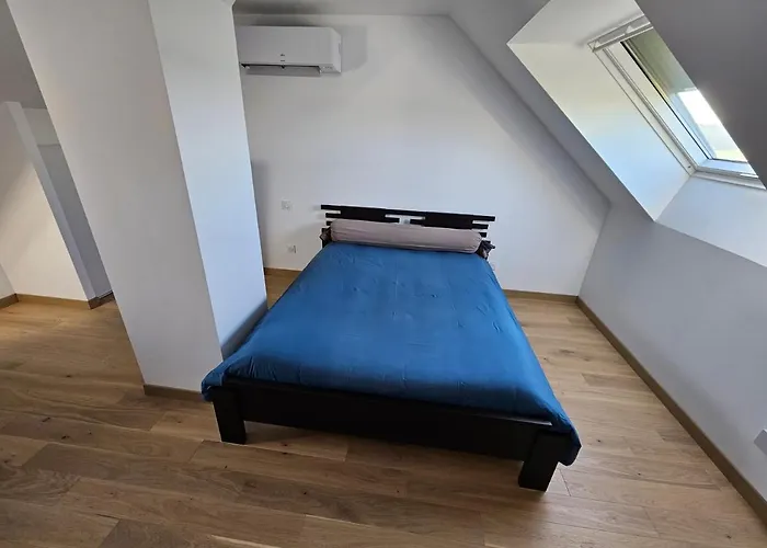 Circuit Du Mans Jacques Brel *